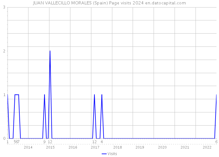 JUAN VALLECILLO MORALES (Spain) Page visits 2024 