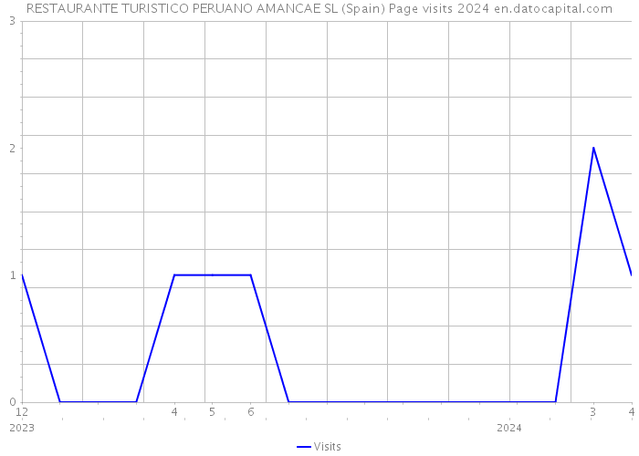 RESTAURANTE TURISTICO PERUANO AMANCAE SL (Spain) Page visits 2024 