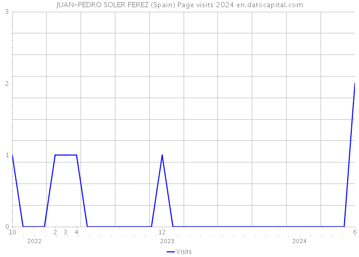 JUAN-PEDRO SOLER PEREZ (Spain) Page visits 2024 