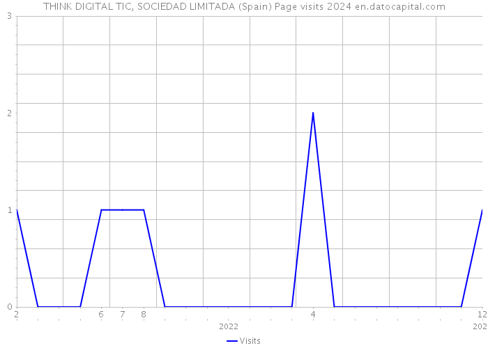 THINK DIGITAL TIC, SOCIEDAD LIMITADA (Spain) Page visits 2024 
