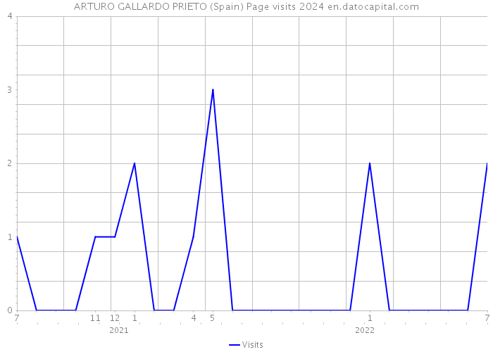 ARTURO GALLARDO PRIETO (Spain) Page visits 2024 
