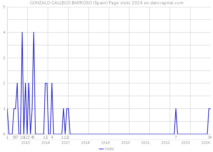 GONZALO GALLEGO BARROSO (Spain) Page visits 2024 