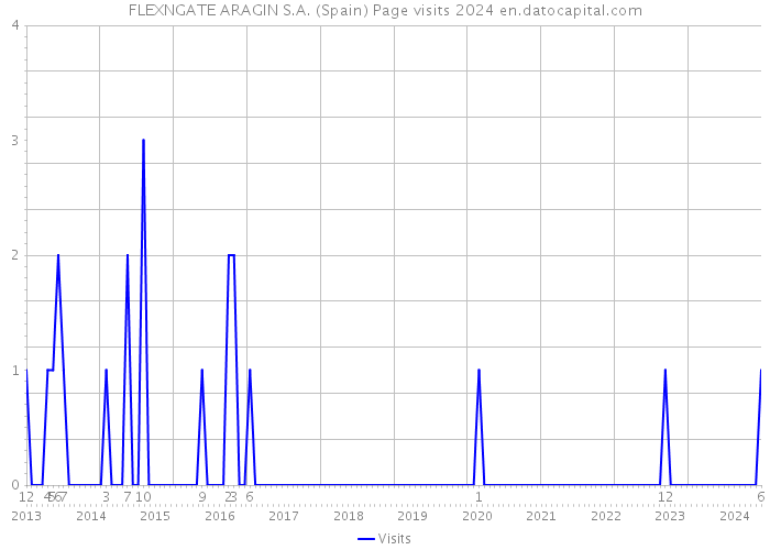 FLEXNGATE ARAGIN S.A. (Spain) Page visits 2024 