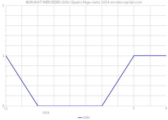 BURUNAT MERCEDES GUIU (Spain) Page visits 2024 