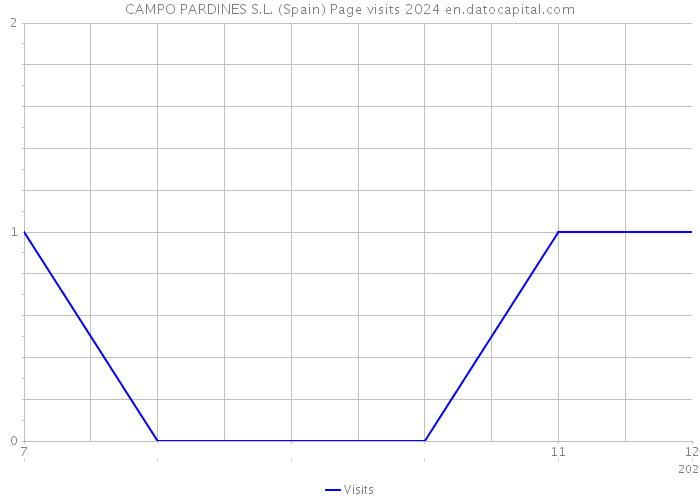 CAMPO PARDINES S.L. (Spain) Page visits 2024 