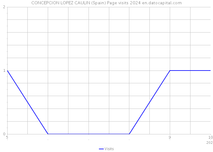 CONCEPCION LOPEZ CAULIN (Spain) Page visits 2024 