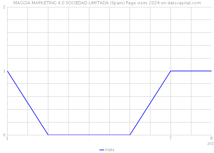 MAGGIA MARKETING 4.0 SOCIEDAD LIMITADA (Spain) Page visits 2024 