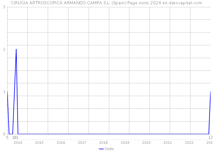 CIRUGIA ARTROSCOPICA ARMANDO CAMPA S.L. (Spain) Page visits 2024 
