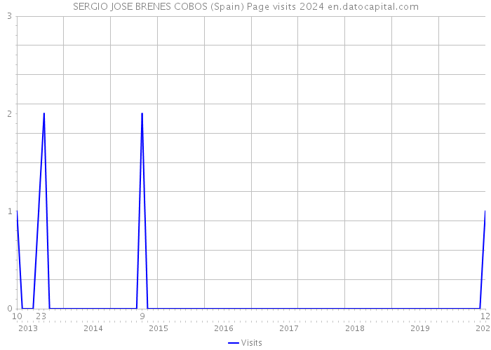 SERGIO JOSE BRENES COBOS (Spain) Page visits 2024 