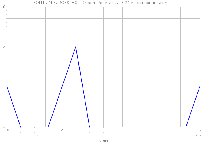 SOLITIUM SUROESTE S.L. (Spain) Page visits 2024 