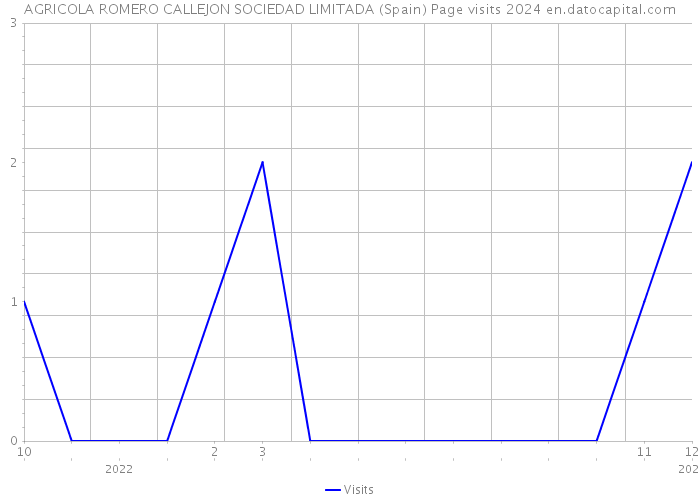 AGRICOLA ROMERO CALLEJON SOCIEDAD LIMITADA (Spain) Page visits 2024 