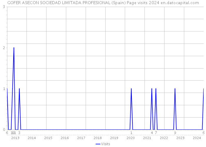 GOFER ASECON SOCIEDAD LIMITADA PROFESIONAL (Spain) Page visits 2024 