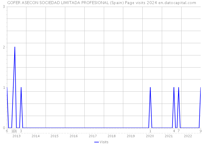 GOFER ASECON SOCIEDAD LIMITADA PROFESIONAL (Spain) Page visits 2024 