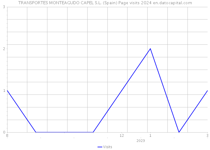 TRANSPORTES MONTEAGUDO CAPEL S.L. (Spain) Page visits 2024 