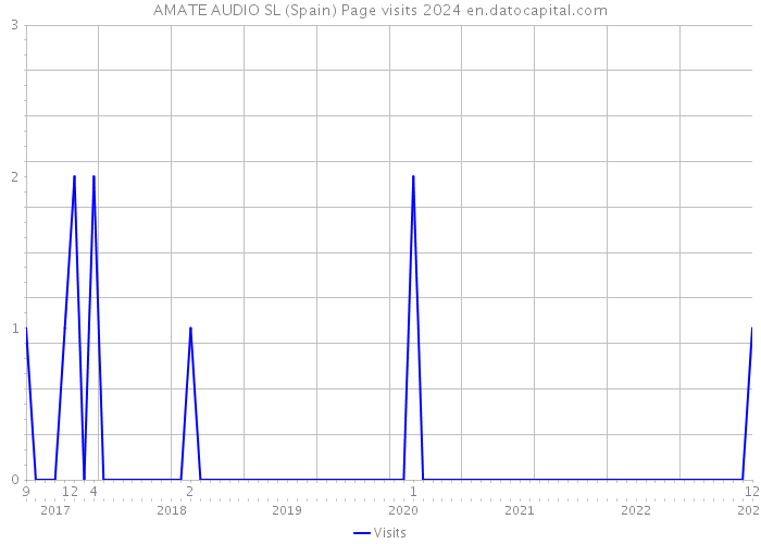 AMATE AUDIO SL (Spain) Page visits 2024 