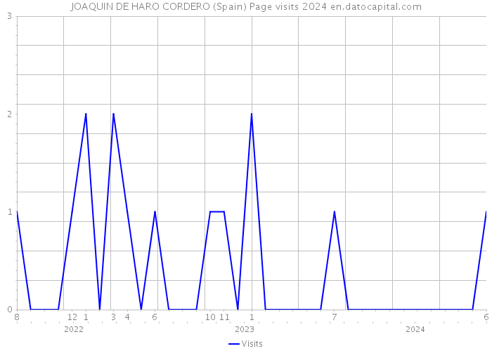 JOAQUIN DE HARO CORDERO (Spain) Page visits 2024 