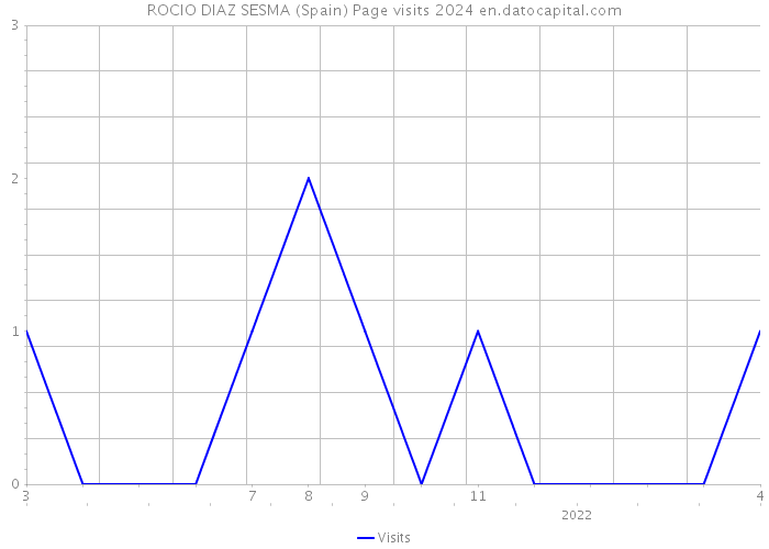 ROCIO DIAZ SESMA (Spain) Page visits 2024 