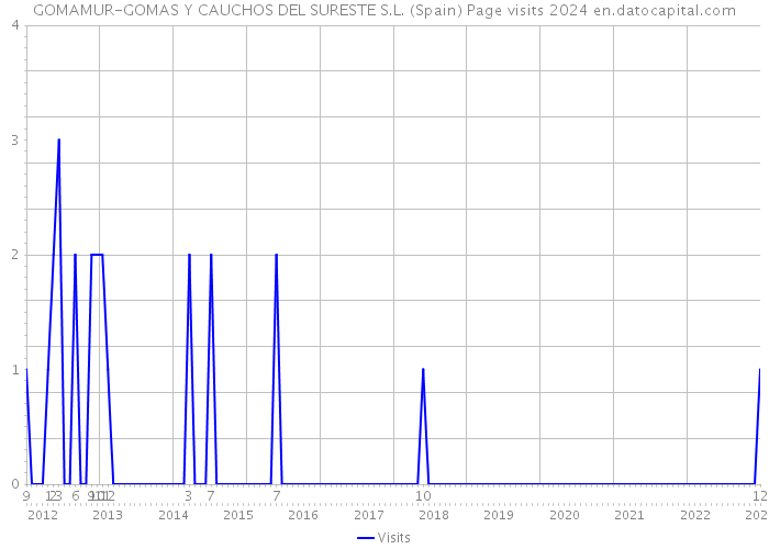 GOMAMUR-GOMAS Y CAUCHOS DEL SURESTE S.L. (Spain) Page visits 2024 