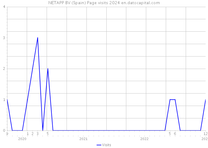 NETAPP BV (Spain) Page visits 2024 