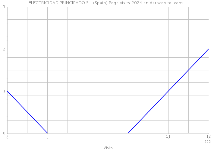 ELECTRICIDAD PRINCIPADO SL. (Spain) Page visits 2024 
