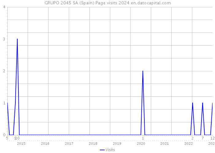 GRUPO 2045 SA (Spain) Page visits 2024 