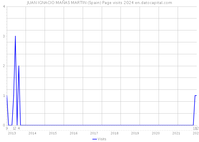 JUAN IGNACIO MAÑAS MARTIN (Spain) Page visits 2024 