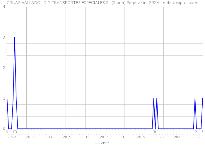 GRUAS VALLADOLID Y TRANSPORTES ESPECIALES SL (Spain) Page visits 2024 