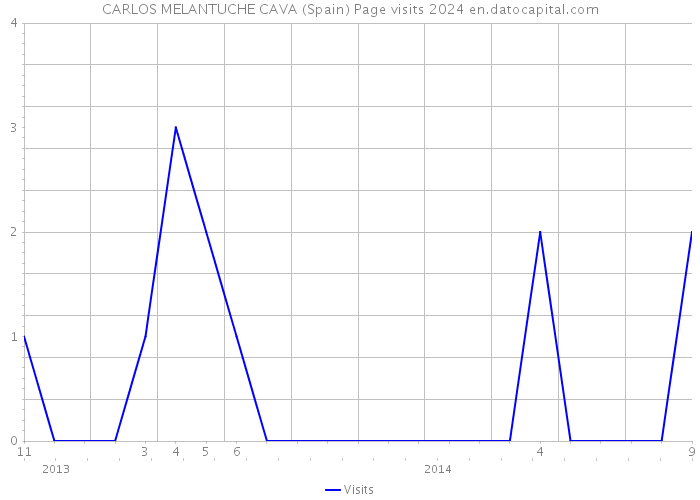 CARLOS MELANTUCHE CAVA (Spain) Page visits 2024 