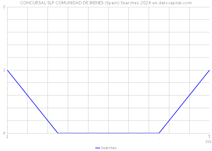 CONCURSAL SLP COMUNIDAD DE BIENES (Spain) Searches 2024 
