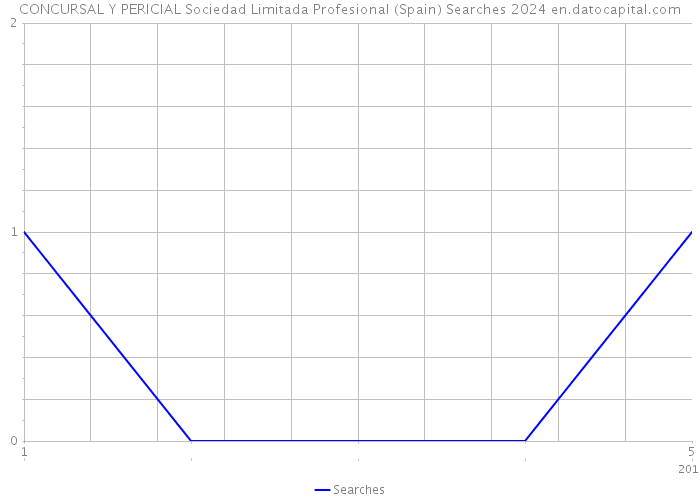 CONCURSAL Y PERICIAL Sociedad Limitada Profesional (Spain) Searches 2024 