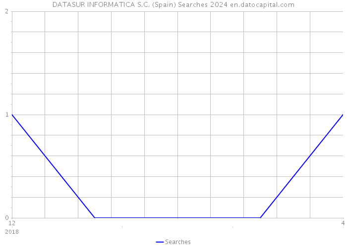 DATASUR INFORMATICA S.C. (Spain) Searches 2024 