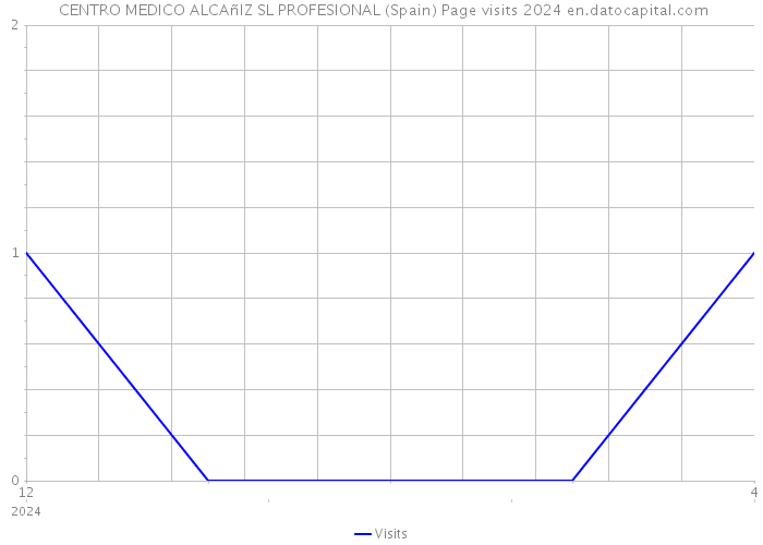  CENTRO MEDICO ALCAñIZ SL PROFESIONAL (Spain) Page visits 2024 