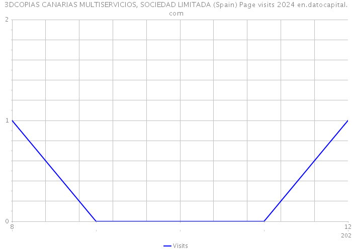 3DCOPIAS CANARIAS MULTISERVICIOS, SOCIEDAD LIMITADA (Spain) Page visits 2024 