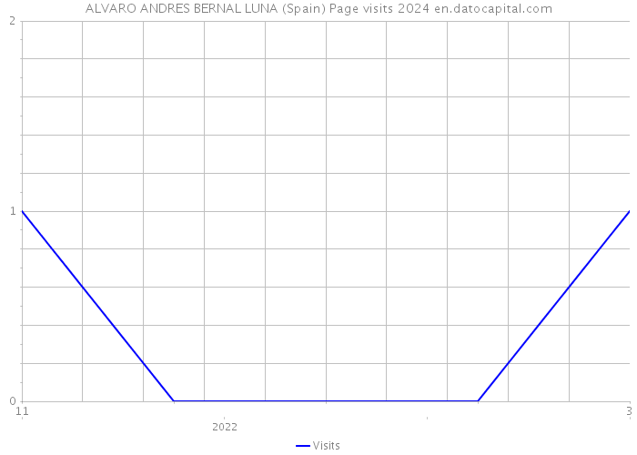 ALVARO ANDRES BERNAL LUNA (Spain) Page visits 2024 