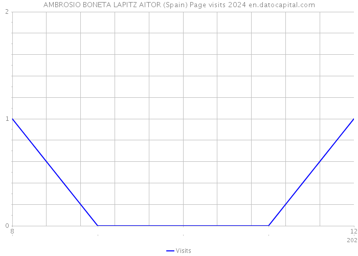 AMBROSIO BONETA LAPITZ AITOR (Spain) Page visits 2024 