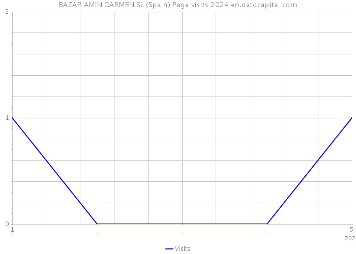 BAZAR AMIN CARMEN SL (Spain) Page visits 2024 