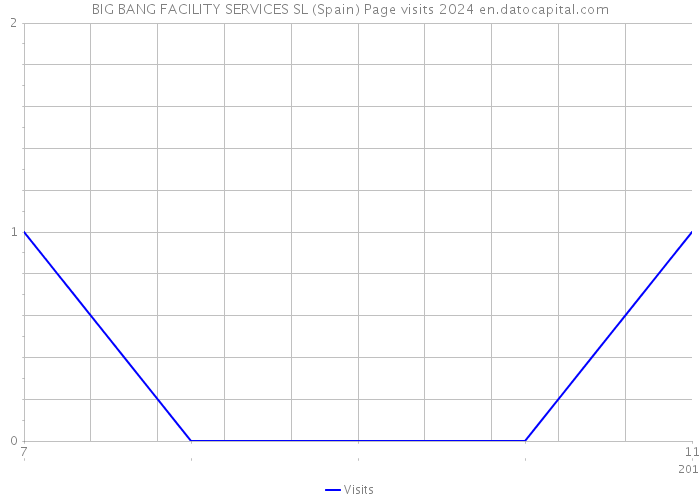 BIG BANG FACILITY SERVICES SL (Spain) Page visits 2024 