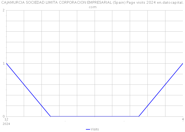 CAJAMURCIA SOCIEDAD LIMITA CORPORACION EMPRESARIAL (Spain) Page visits 2024 