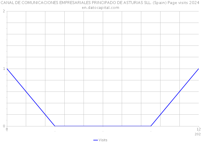 CANAL DE COMUNICACIONES EMPRESARIALES PRINCIPADO DE ASTURIAS SLL. (Spain) Page visits 2024 