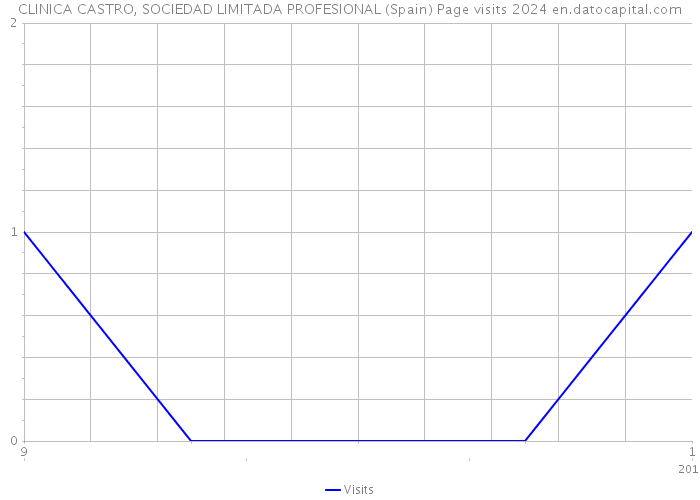 CLINICA CASTRO, SOCIEDAD LIMITADA PROFESIONAL (Spain) Page visits 2024 