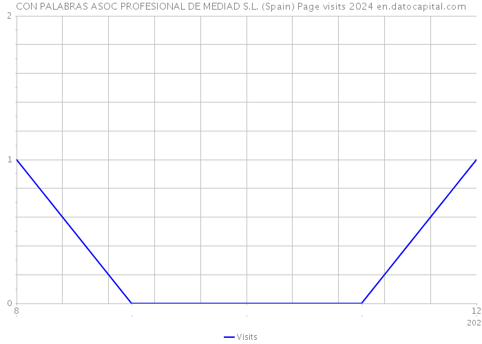 CON PALABRAS ASOC PROFESIONAL DE MEDIAD S.L. (Spain) Page visits 2024 