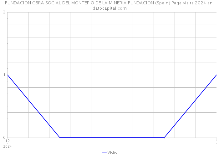 FUNDACION OBRA SOCIAL DEL MONTEPIO DE LA MINERIA FUNDACION (Spain) Page visits 2024 
