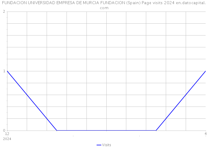 FUNDACION UNIVERSIDAD EMPRESA DE MURCIA FUNDACION (Spain) Page visits 2024 