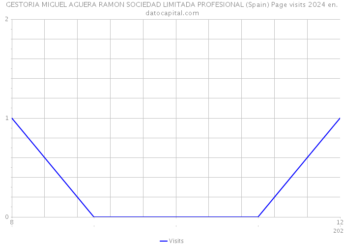 GESTORIA MIGUEL AGUERA RAMON SOCIEDAD LIMITADA PROFESIONAL (Spain) Page visits 2024 