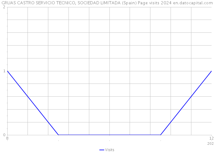 GRUAS CASTRO SERVICIO TECNICO, SOCIEDAD LIMITADA (Spain) Page visits 2024 
