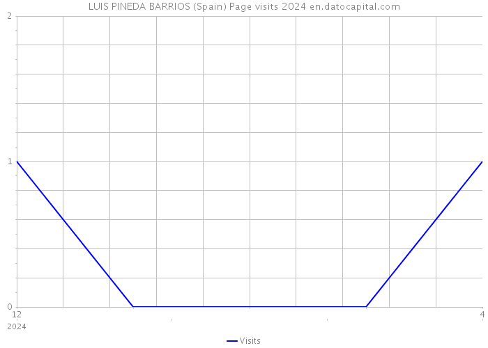 LUIS PINEDA BARRIOS (Spain) Page visits 2024 