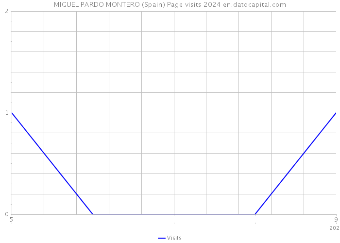 MIGUEL PARDO MONTERO (Spain) Page visits 2024 