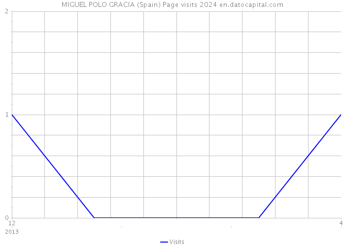 MIGUEL POLO GRACIA (Spain) Page visits 2024 