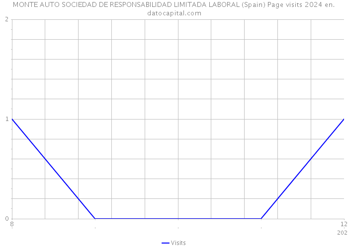 MONTE AUTO SOCIEDAD DE RESPONSABILIDAD LIMITADA LABORAL (Spain) Page visits 2024 