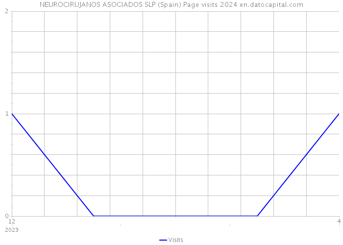 NEUROCIRUJANOS ASOCIADOS SLP (Spain) Page visits 2024 